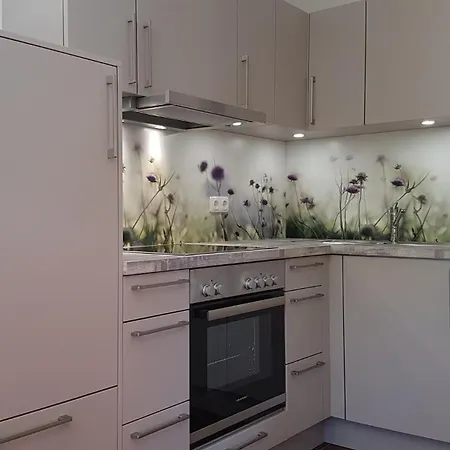 Swaantje-kormoran Q3 * פרראו