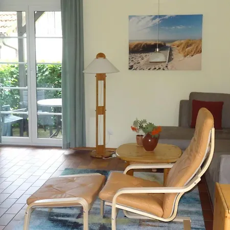 Swaantje-kormoran Q3 פרראו