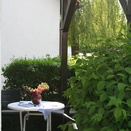 Swaantje-kormoran Q3 * פרראו