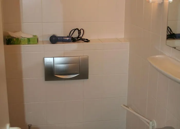 Swaantje-kormoran Q3 *