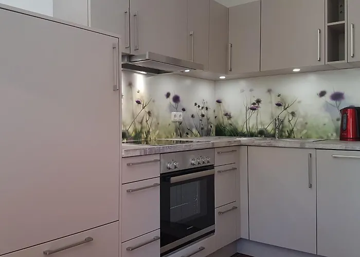 Swaantje-kormoran Q3 * بريرو