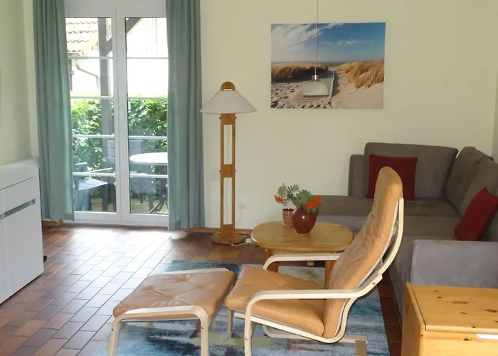 Swaantje-kormoran Q3 بريرو