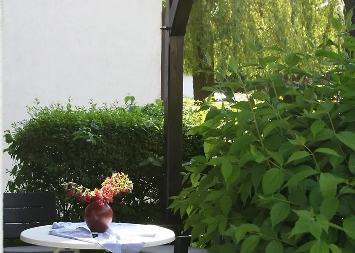 Swaantje-kormoran Q3 * بريرو